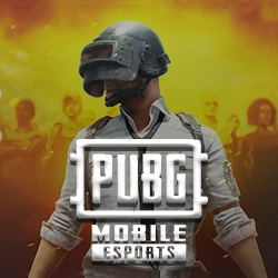 Pubg Mobile